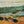 Layers of Stories, Mount Tamalpais / 30 x 60 / Oil on Canvas