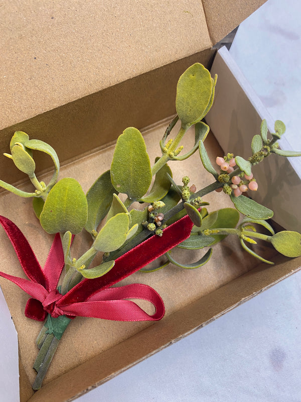 The Nature Lover's Gift Set