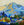 Autumn Sun on Mount Tam / 18 x 18 / Oil on Canvas