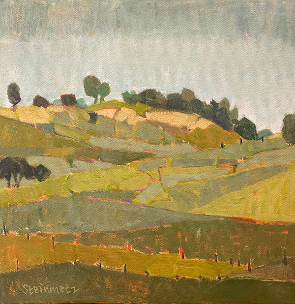 Color Echo / 12 x 12 / Oil on Canvas