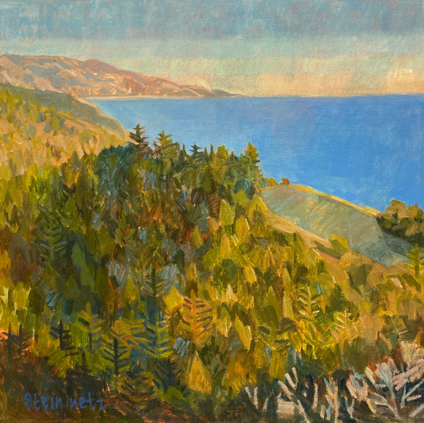 This Is Big Sur, Napenthe / 30 x 30 / Oil on Canvas