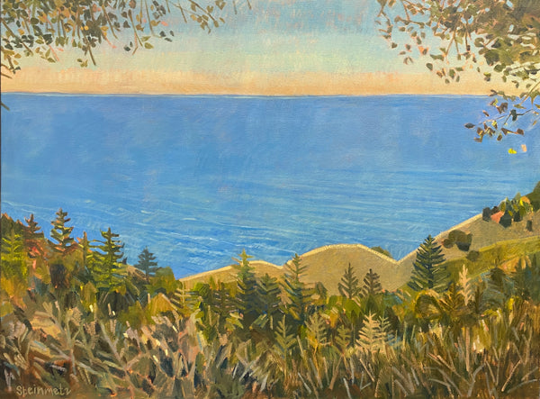 This Is Big Sur, Hidden / 30 x 40 / Oil on Canvas