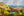 June Connection Burst, Mount Tam / 24 x 36 / Oil on Canvas