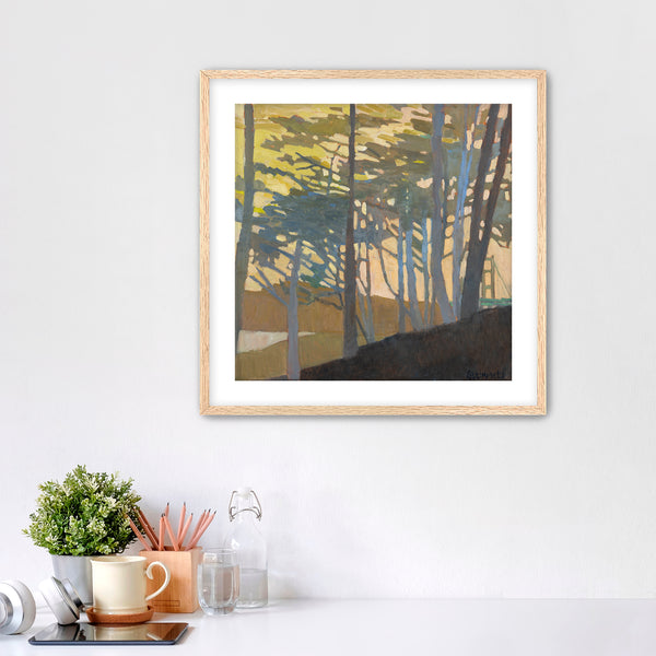 PRINT: Light Shelter Light