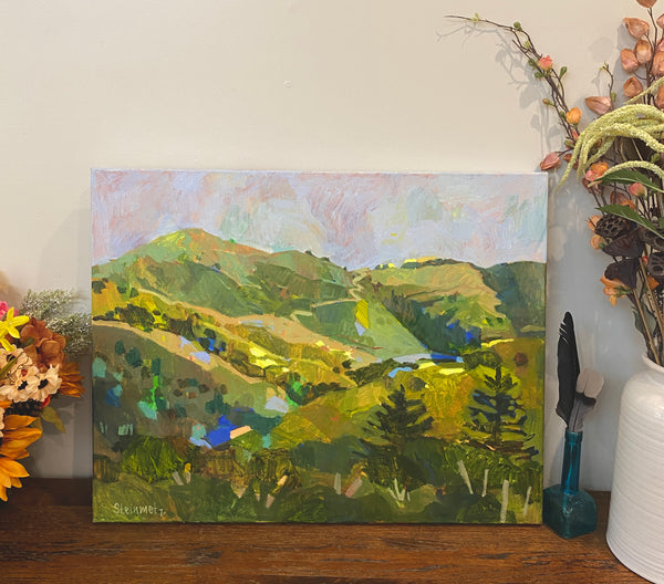 Old Coast Road Pocket / 22 x 28 / Oil on Canvas