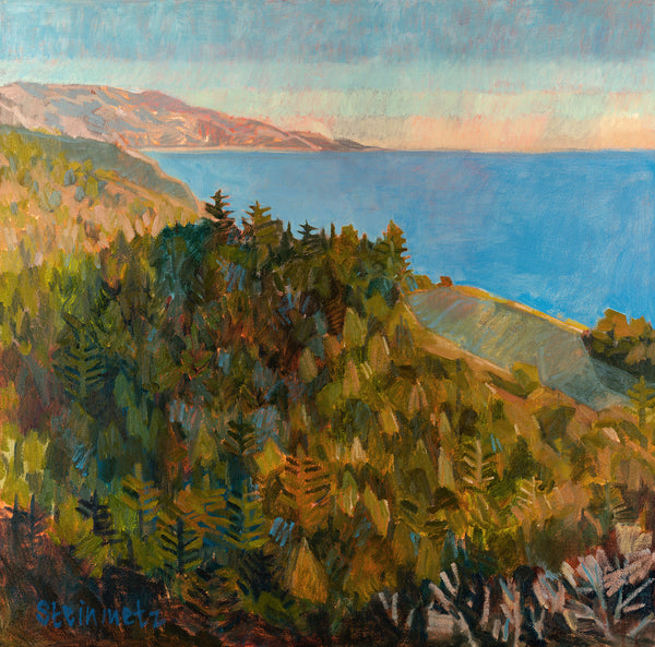 PRINT: This is Big Sur from Napenthe