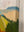 Vineyard Snaps and Pops / 20 x 20 / Oil on Canvas